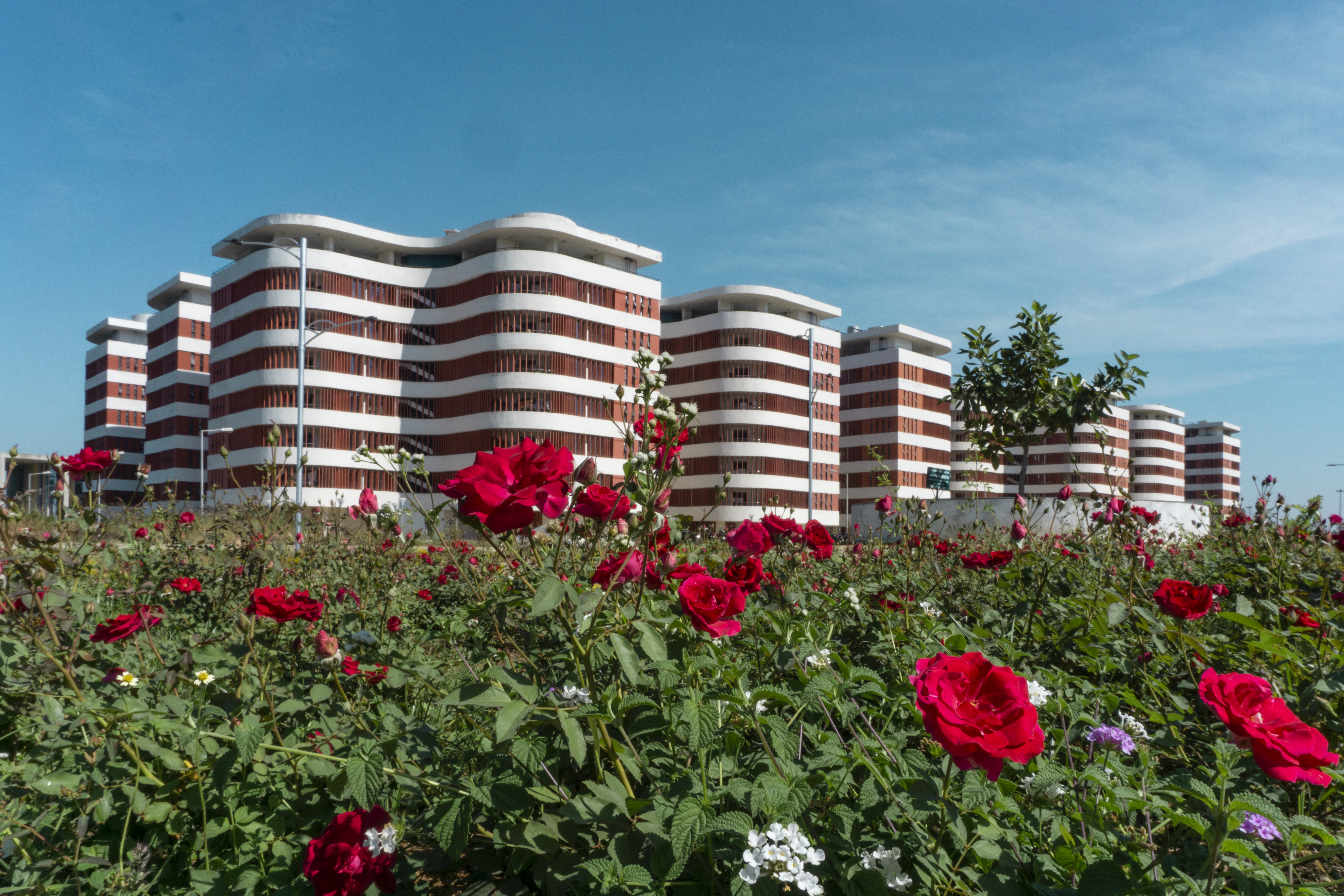 Hostel Block with Garden